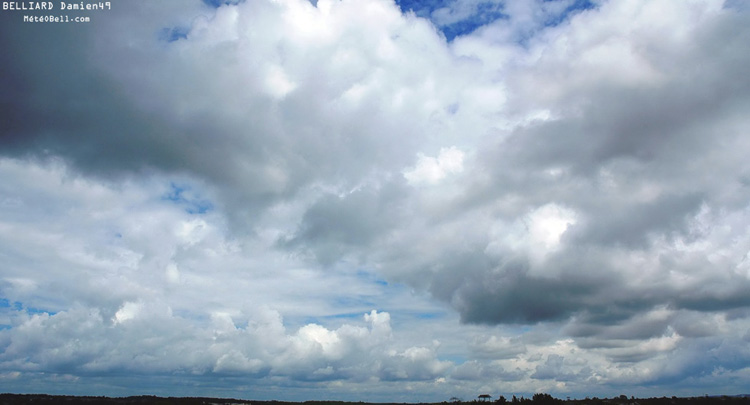 06 juin 2005 - 15h41 - Cumulus et Stratocumulus