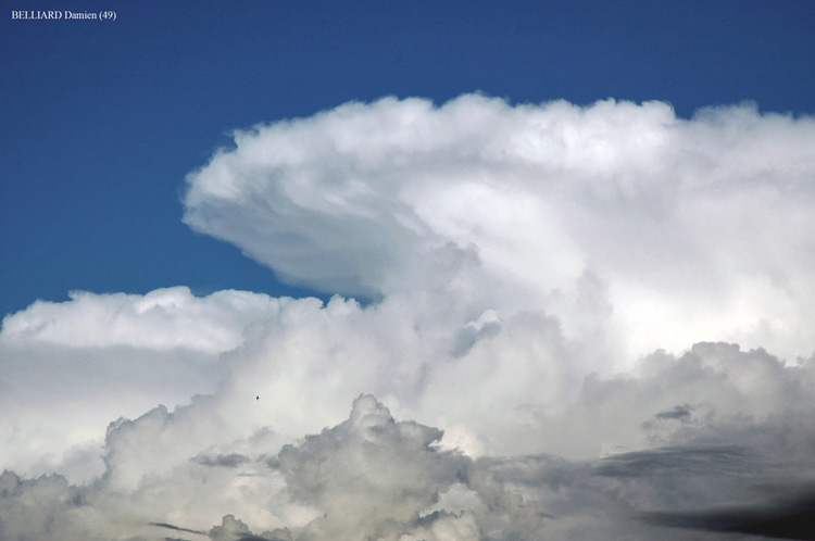 Photo de Cumulonimbus Capillatus Incus 5h le 06 juin 2005 en Anjou