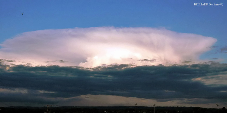 Photo de Cumulonimbus Capillatus Incus à la tombée de la nuit 6c - le 06 juin 2005 en Anjou