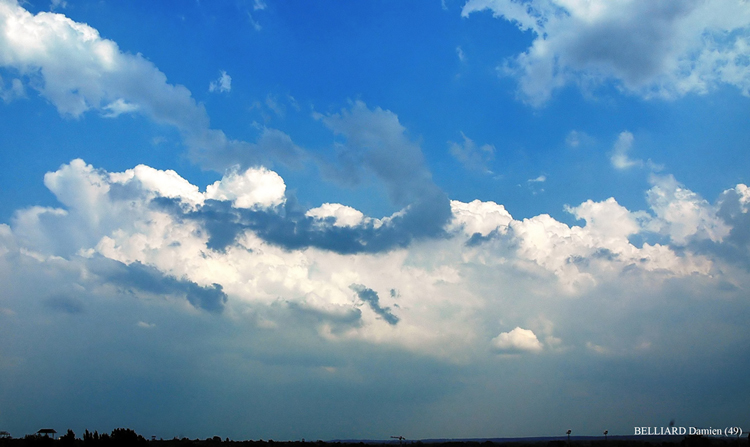 17 juillet 2005 - 17h58 - Cumulus Congestus