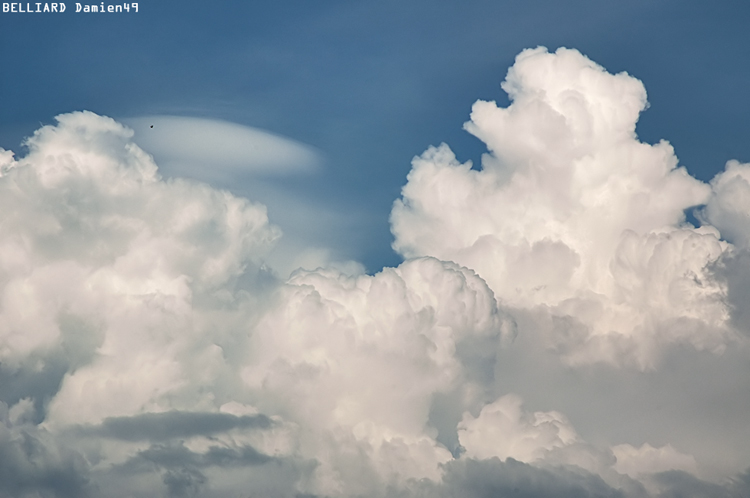 30 avril 2007 - 17h33 - Pileus