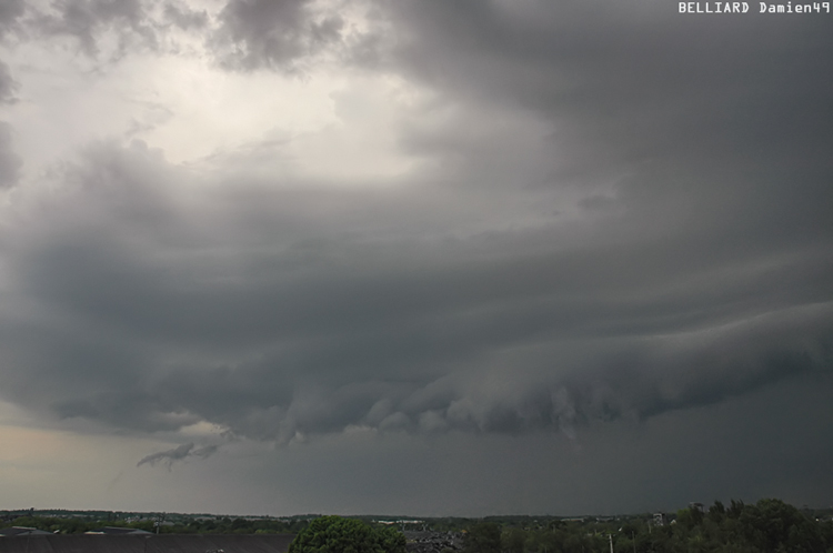 30 avril 2007 - 20h38 - Arcus