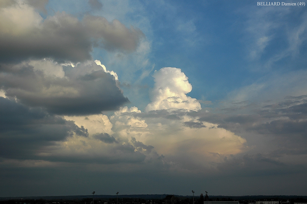 Cumulus congestus