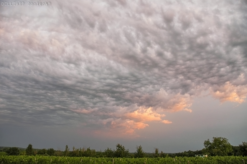 Altocumulus Castellanus