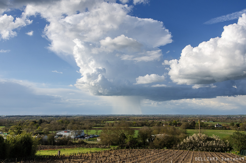 Cumulonimbus