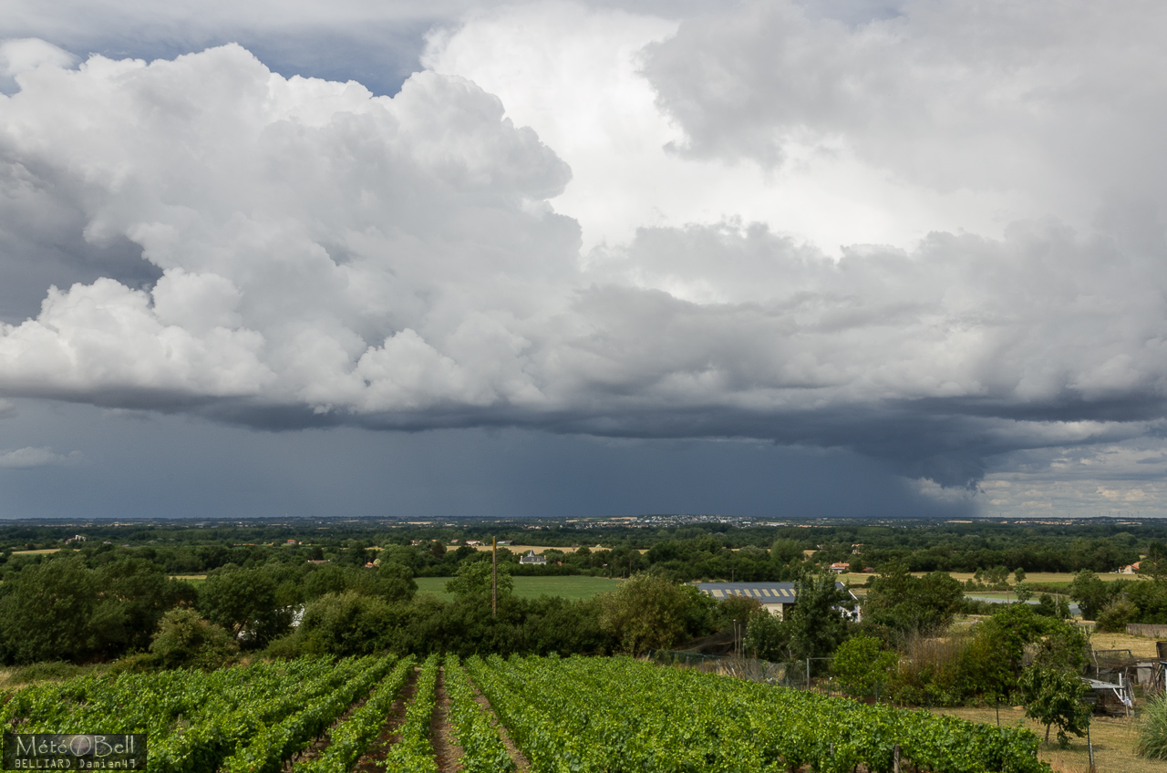 Pied de Pluie