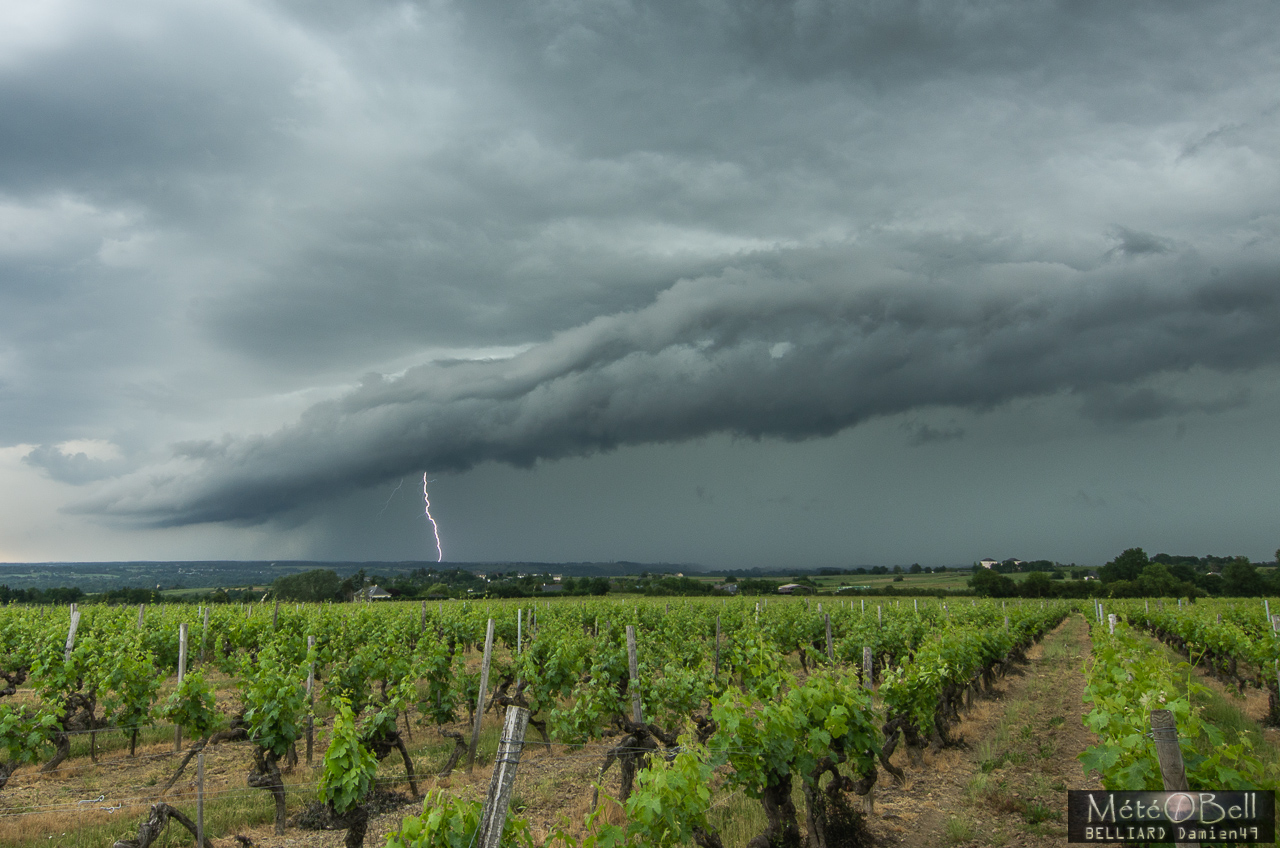 Bow Echo - Foudre - Arcus