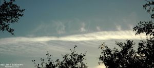 nuage