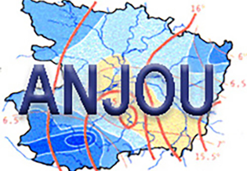 anjou