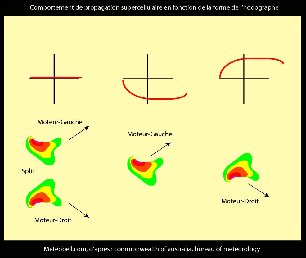 hodographe