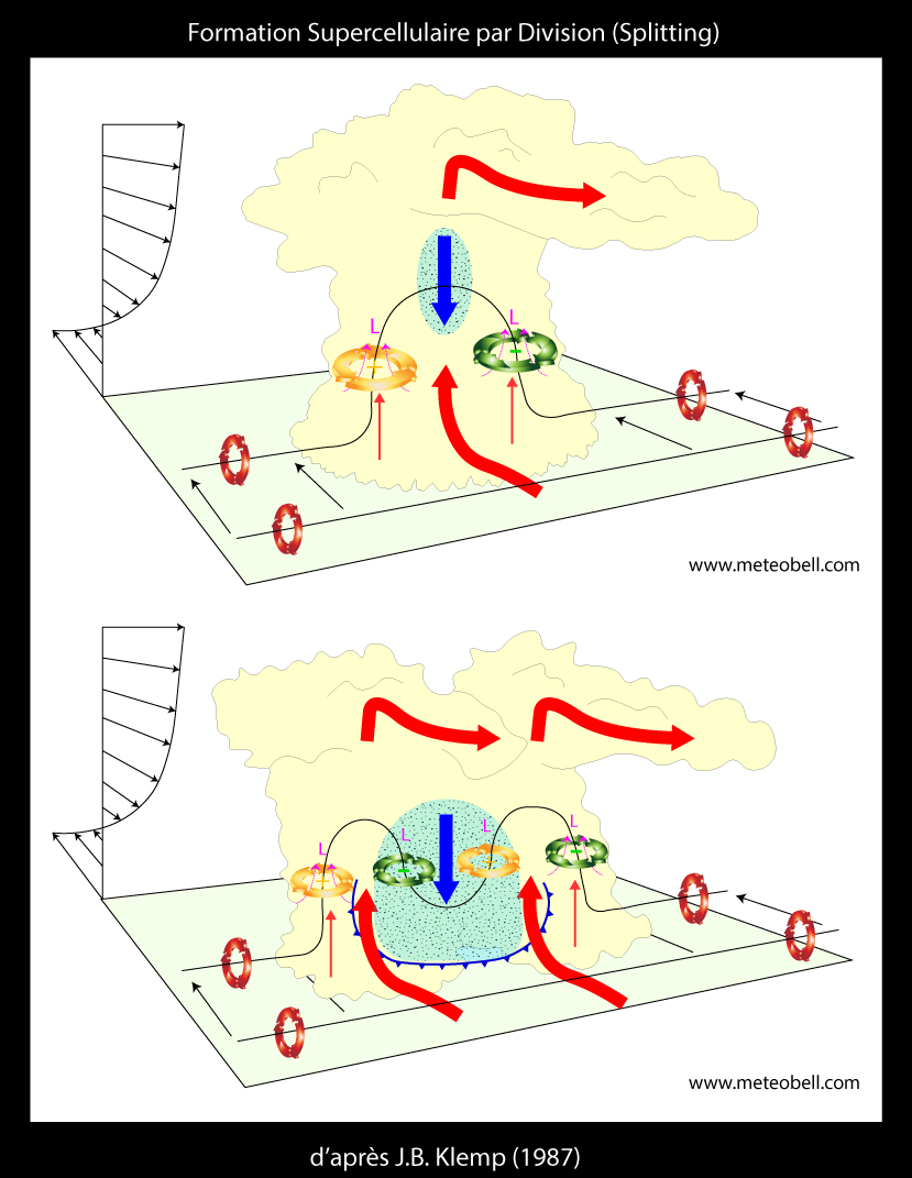 schéma splitting supercellulaire