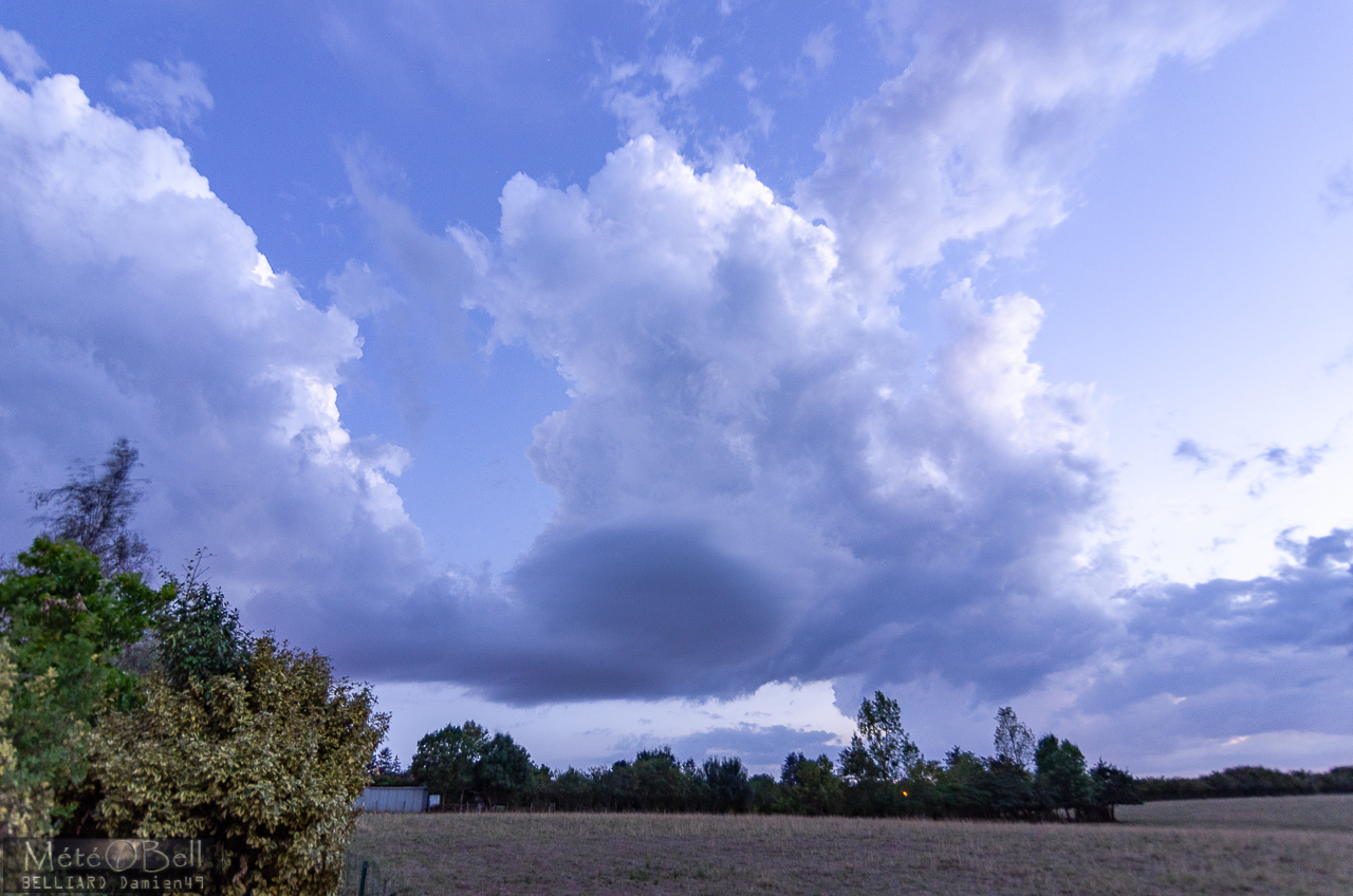 cumulus congestus
