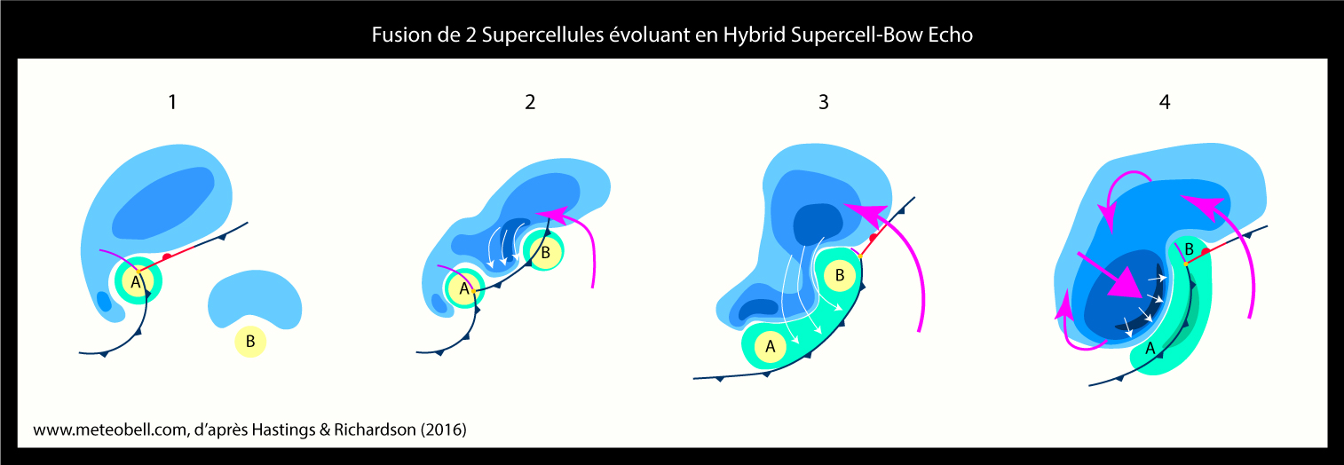 Hybrid Supercell-Bow Echo