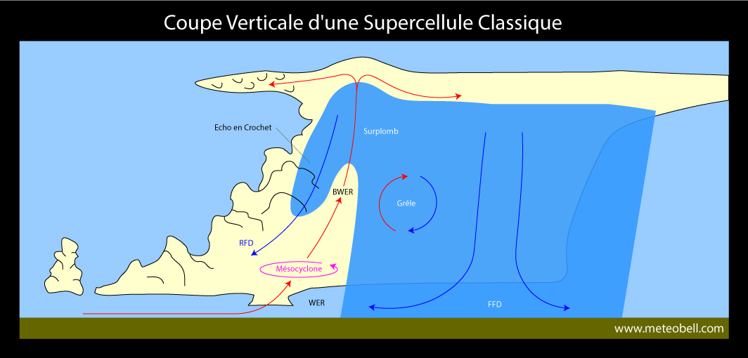 coupe verticale supercellule classique