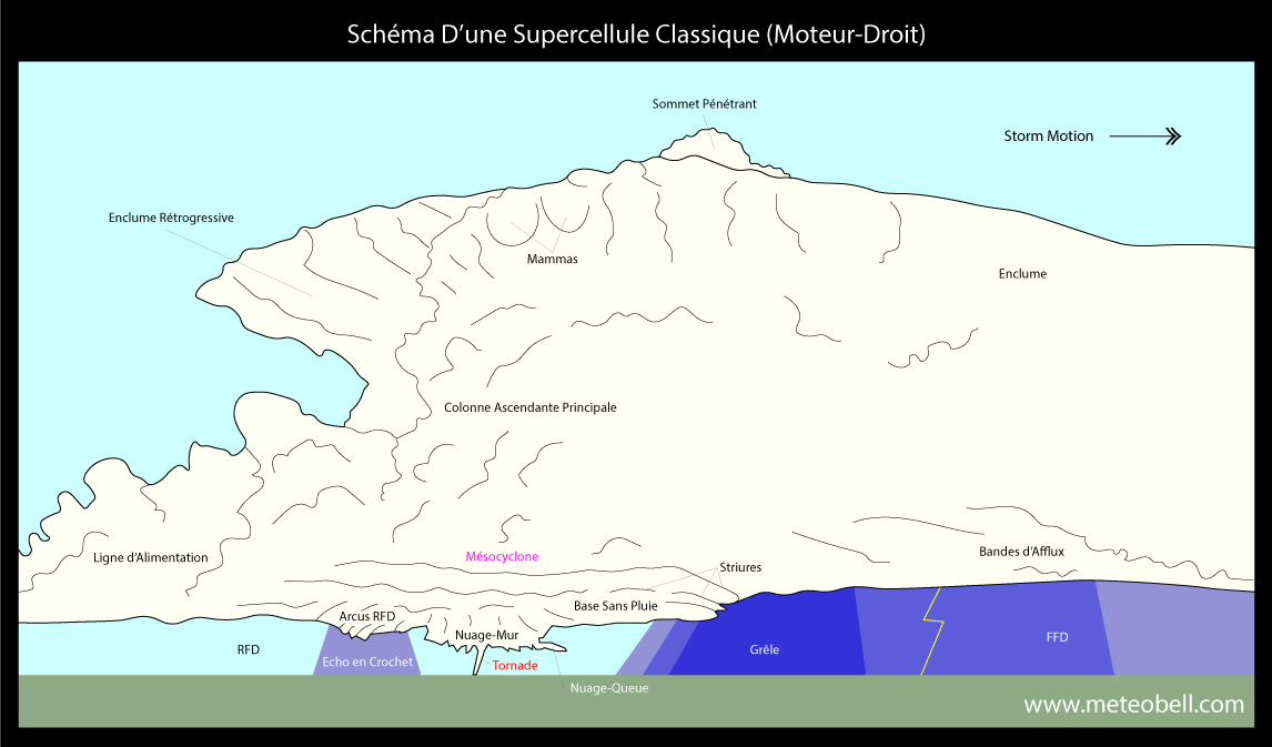 schéma visuel supercellule classique