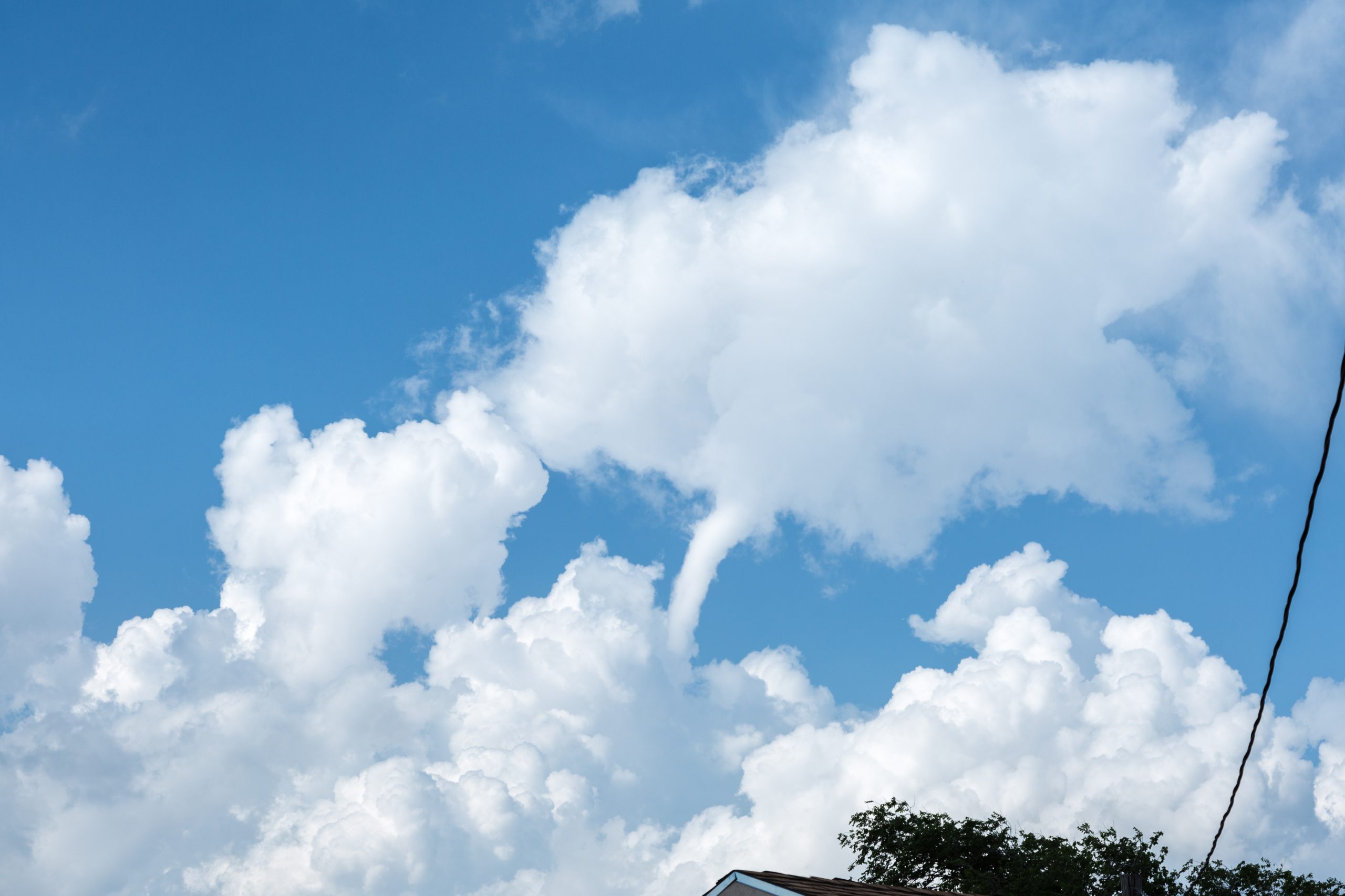 tuba cumulus