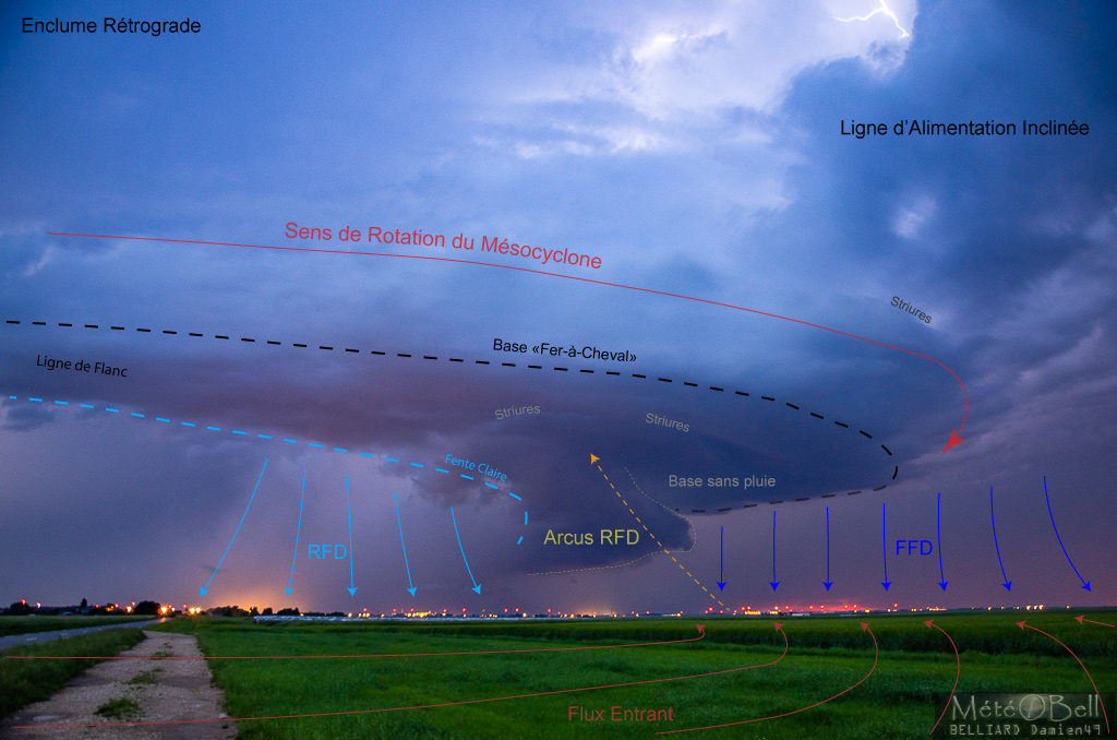 arcus RFD