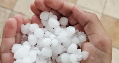 Canicule et Grêle grêlons